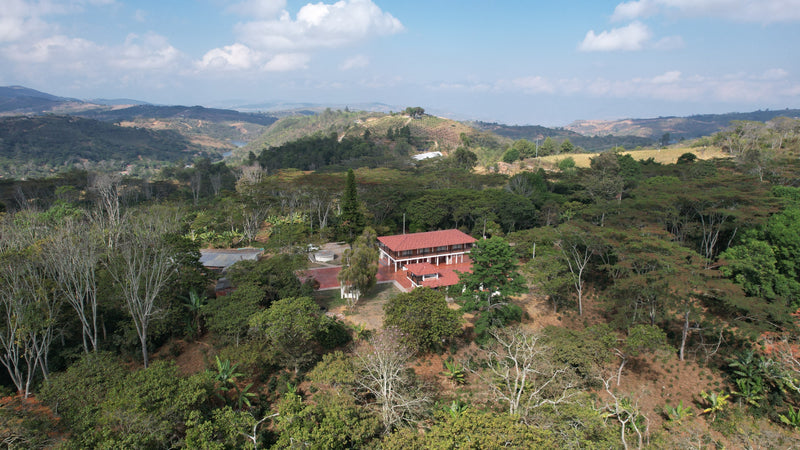 At Hacienda La Pradera, Oscar Daza operates one of the most innovative and successful agroforestry farms in the world. With Oscar achieving Regenerative Organic Certification in 2025, we are thrilled to welcome back La Pradera to our seasonal lineup.